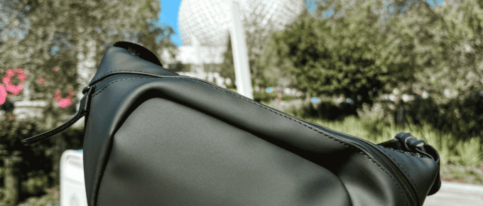 Disney World Park Bag Essential For Guys