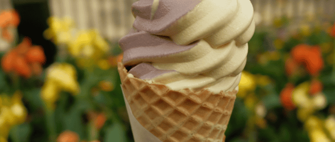 Soft Serve Ice Cream in Epcot