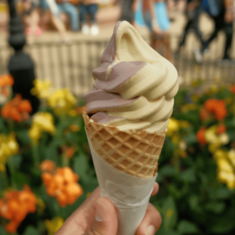 Soft Serve Ice Cream in Epcot