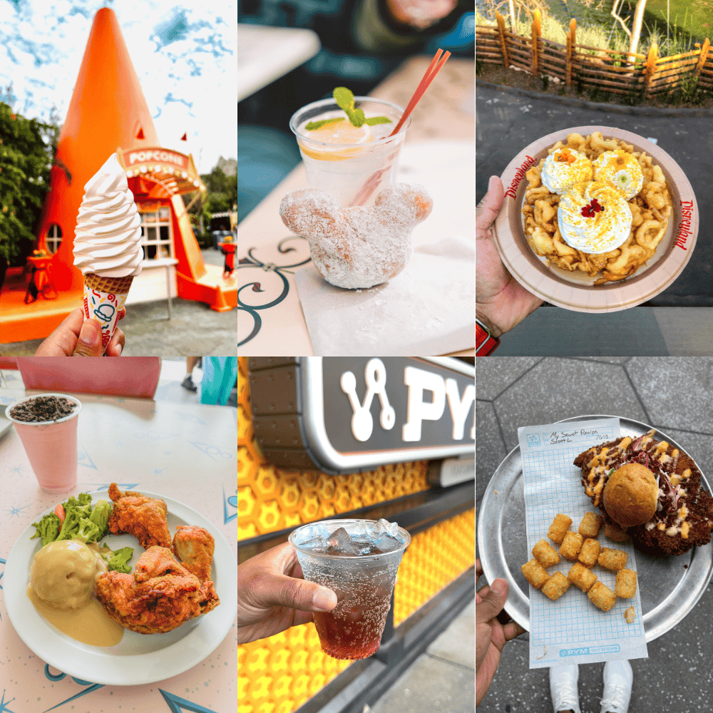 disneyland planning guide food