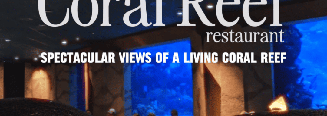 Coral Reef Dinner Review