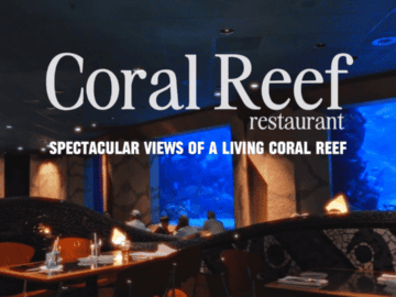 Coral Reef Dinner Review