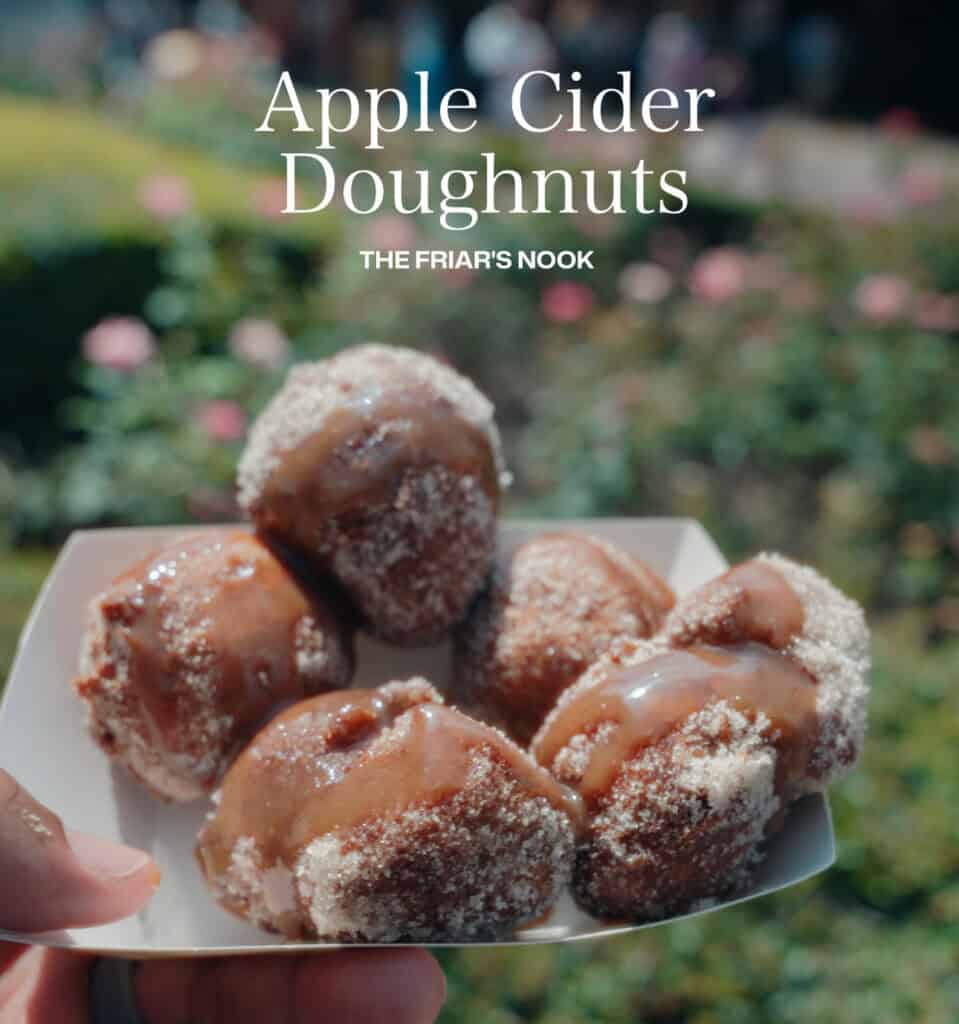 apple cider donuts magic kingdom